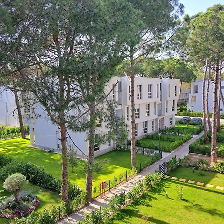 M&e Premium - San Pietro